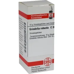 Grindelia Robusta C30 Globuli