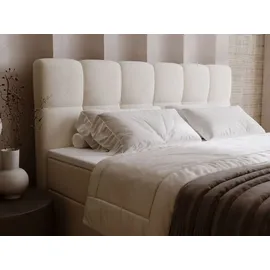 GRAINGOLD Boxbett mit Bettkasten 180x200 Beige Samt, Maison