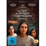 Alamode Filmdistribution Die Saat des heiligen Feigenbaums