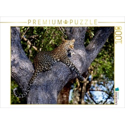 CALVENDO Puzzle CALVENDO Puzzle Leopard im Baum, Afrika 1000 Teile Lege-Größe 64 x 48 cm Foto-Puzzle Bild von Wibke Woyke, 1000 Puzzleteile