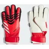 Adidas Predator Match Fingersave Torwarthandschuhe Kinder Handschuhe Kids, PURRUB/LUCRED/BLACK, 7
