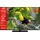 JVC LT-50VU6355 50" LED 4K UHD Smart TV