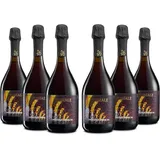 Brumale Lambrusco di Sorbara DOC, Trockener Perlwein mit einem Frischen und Persistenten Geschmack nach Walderdbeeren und Frischen Veilchen, 11% Vol., Karton mit 6 Flaschen mit jeweils 750 ml