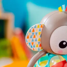 Bright Starts Grab & Giggle Monkey Rassel bunt