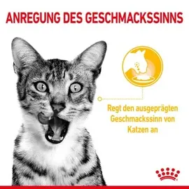 Royal Canin Sensory Multipack in Soße 12 x 85 g