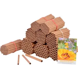 DOBAR Papierstrohhalm »Bienenschmaus«, aus recyceltem Altpapier, inkl. Samenmischung - bunt