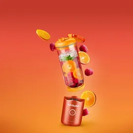 nutribullet Flex NBP013OR Smoothie-Mixer