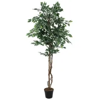 Europalms Silberficus-Benjamini, 180cm