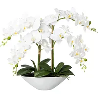 Kunstorchidee Deko-Orchidee Phalaenopsis in Keramikschale Orchidee Phalenopsis, Creativ green, Höhe 53 cm weiß