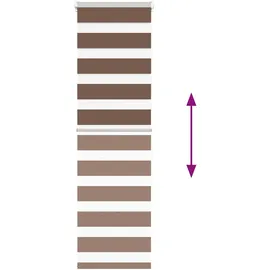 vidaXL Doppelrollo Braun 40x150 cm Stoffbreite 35,9 cm Polyester