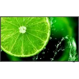 Sharp NEC Display Solutions NEC MultiSync E328-2 Digital Signage Display 80 cm 31,5 Zoll
