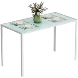 Esstisch mit Glasplatte für 4-6 Personen 120 x 60 x 75 cm Weiß - Gehärtetes Sicherheitsglas - Stabiler Metallrahmen - Pflegeleicht - Weiß