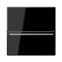 Jung ACARDRFIDSW Hotelcard-Schalter RFID, ohne Symbole, Serie A, schwarz