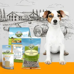 Bellfor Welpenfutter Set für kleine Rassen - Super Angebote Ihren Welp 2,75 kg