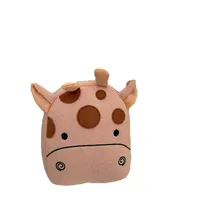 fijalo Teddy_1226