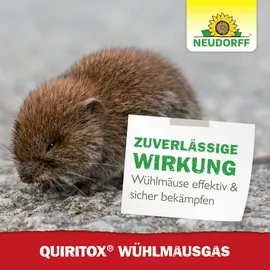 NEUDORFF Quiritox WühlmausGas 2 Stück