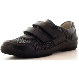 WALDLÄUFER Hesna (312H01)