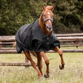 Waldhausen Outdoordecke Nordic, 200g (145cm) - schwarz, 145 cm