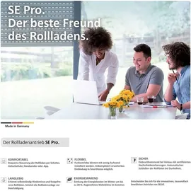 SELVE GmbH & Co. KG SELVE SE Pro 2/15-RC) Funk Universalmotor 413150