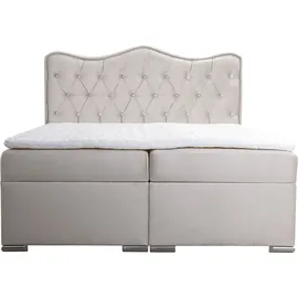 Fun Möbel Boxspringbett Schlafzimmerbett SULTAN New in Stoff Velvet X Schwarz 120x200cm - Schwarz