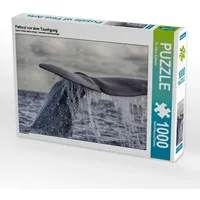 Calvendo Pottwal vor dem Tauchgang (Puzzle)