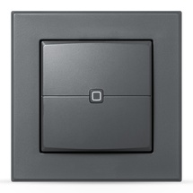 eQ-3 Homematic IP Wandtaster 2-fach anthrazit