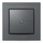 eQ-3 Homematic IP Wandtaster 2-fach anthrazit
