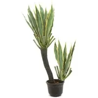Europalms Orchideen-Kaktus, 160cm