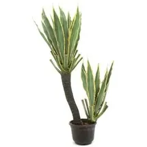 Europalms Orchideen-Kaktus, 160cm