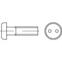 TOOLCRAFT Sicherheitsschrauben M4 6 mm Zweiloch 100 Stück