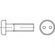 TOOLCRAFT Sicherheitsschrauben M4 6 mm Zweiloch 100 Stück