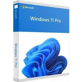 Microsoft Windows 11 Pro DVD IT