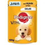 PEDIGREE Junior mit Huhn und Reis in Gelee 24 x 100 g