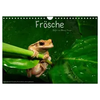 Calvendo Frösche (Wandkalender 2026 DIN A4 quer), CALVENDO Monatskalender: