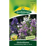 Quedlinburger Glockenblume ''Prachtmischung''