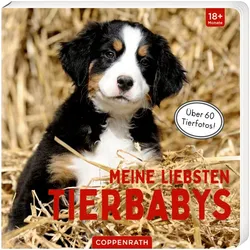 Coppenrath Meine liebsten Tierbabys | Bücher für Kinder | .