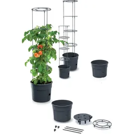 Botle Tomatenpflanze 12 l Ø 30 x 30 cm Schwarz Komplettset