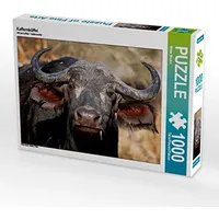 Calvendo Kaffernbüffel Puzzle