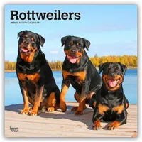 BrownTrout / Flechsig Rottweilers - Rottweiler 2026 - 16-Monatskalender
