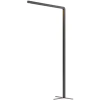Grau Team Pro Stehleuchte LED, schwarz - 3.500 K