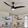 RL Alesund 115 cm Deckenventilator Schwarz