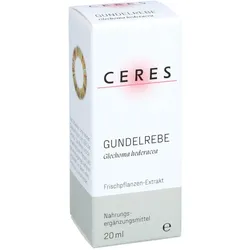 Ceres Gundelrebe Glechoma