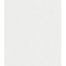 Rasch Textil Vliestapete Wallton 10,05 m x 0,53 m 127409 Weiß