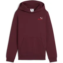 Puma ESS 2 COLOR Small No. 1 Logo Hoodie FL B