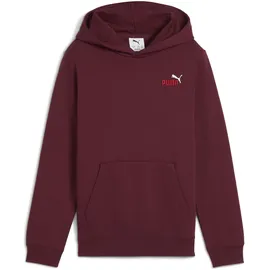 Puma ESS 2 COLOR Small No. 1 Logo Hoodie FL B