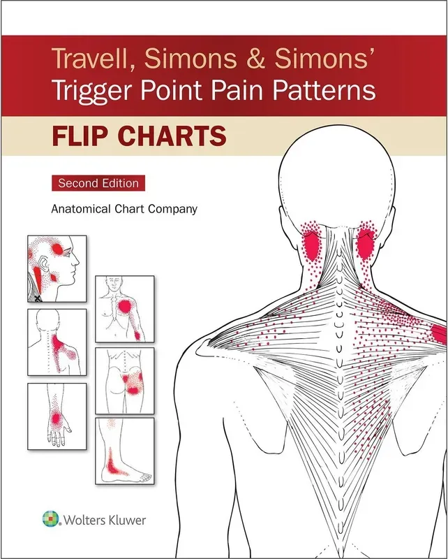 Travell, Simons & Simons' Trigger Point Pain Patterns Flip Charts - Anatomical Chart Company, Kartoniert (TB)