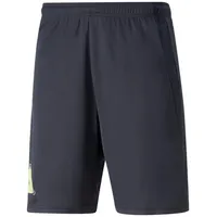 Puma Fußball Park Kurze Hose - Parisian Night -