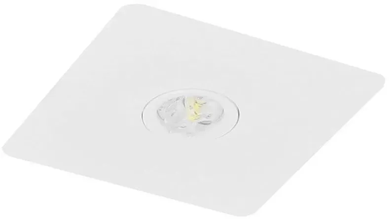 Fischer LED-Sicherheitsleuchte BQEE25I