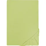 biberna 0077155 Jersey 140 x 200 - 160 x 200 cm pistaziengrün