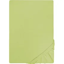 biberna 0077155 Jersey 140 x 200 - 160 x 200 cm pistaziengrün